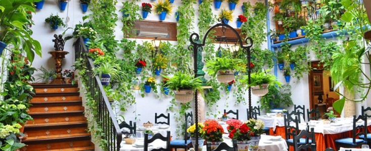 Los hoteles de Sevilla reivindican sus terrazas y patios